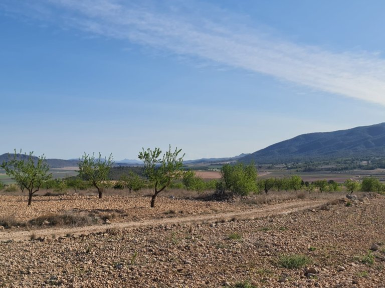 Plot for Sale in Raspay, Murcia 7