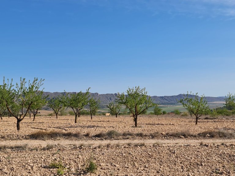 Plot for Sale in Raspay, Murcia 8