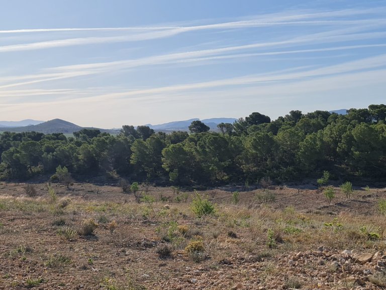 Plot for Sale in Raspay, Murcia 9