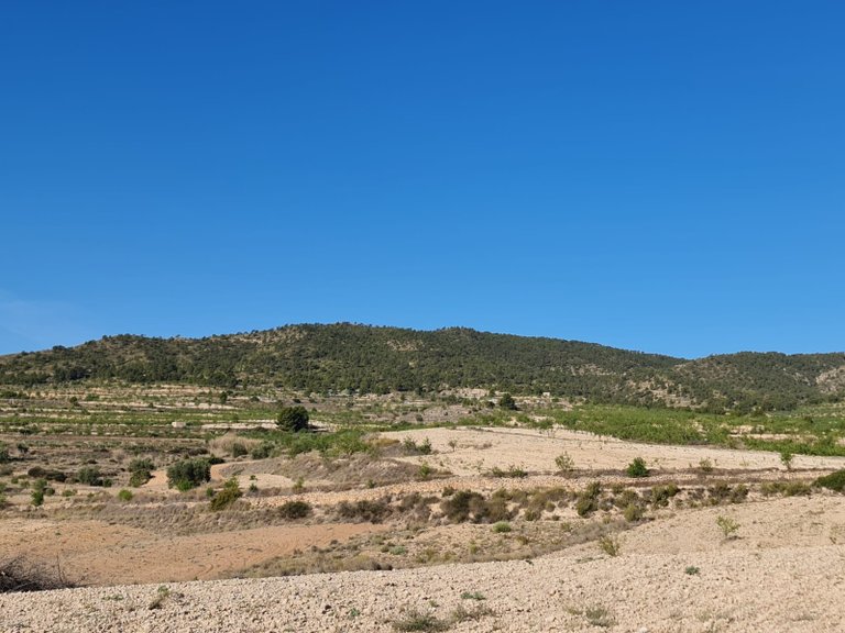 Plot for Sale in Raspay, Murcia 5