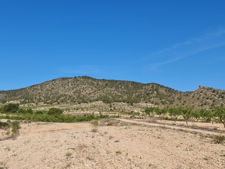 Plot for Sale in Raspay, Murcia 14