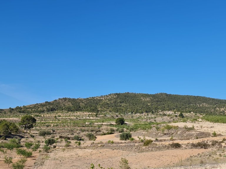 Plot for Sale in Raspay, Murcia 15