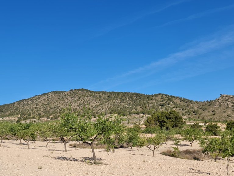 Plot for Sale in Raspay, Murcia 6