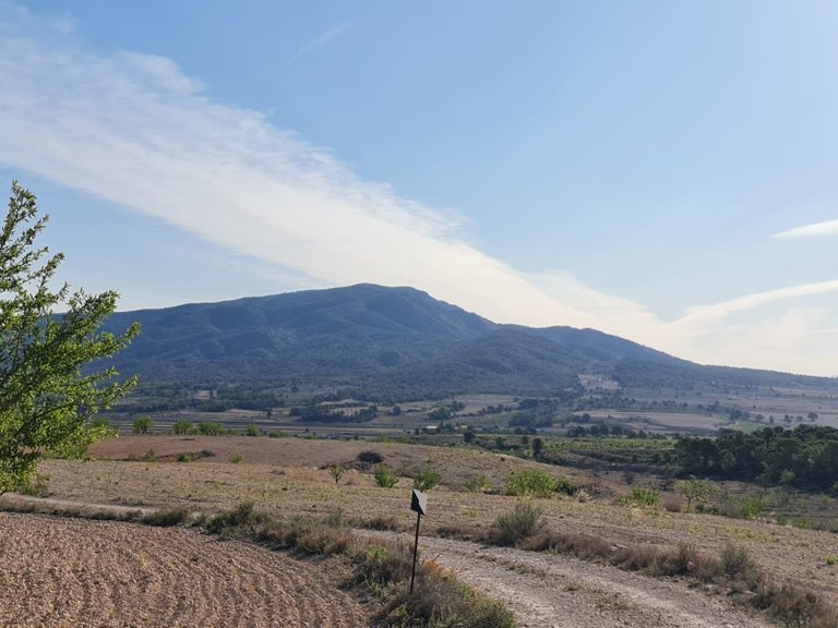 Plot for Sale in Raspay, Murcia 8