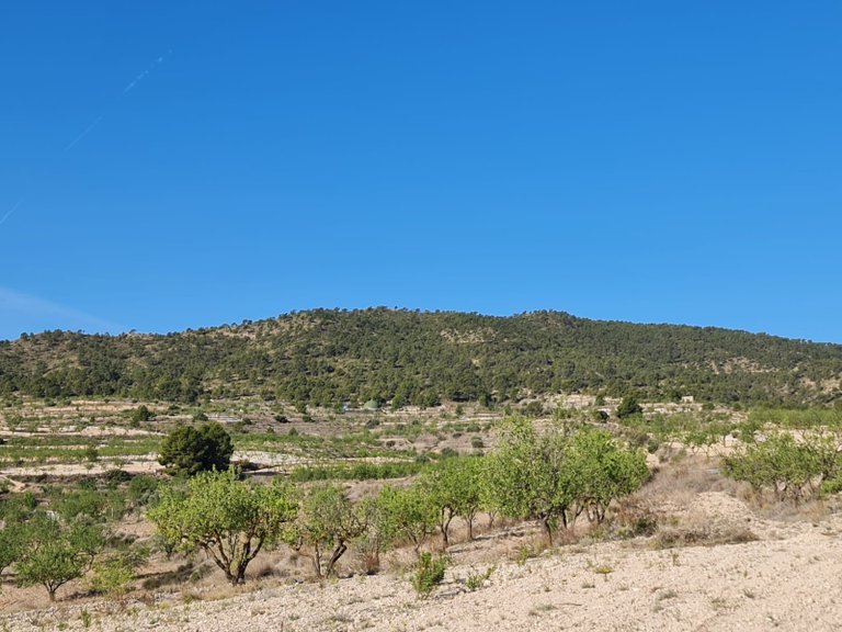 Plot for Sale in Raspay, Murcia 11