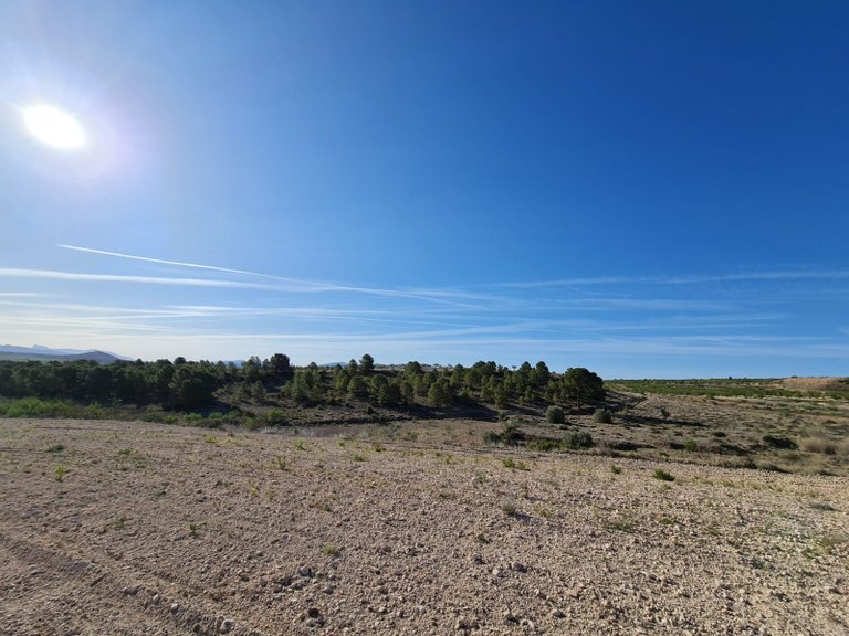 Plot for Sale in Raspay, Murcia 13