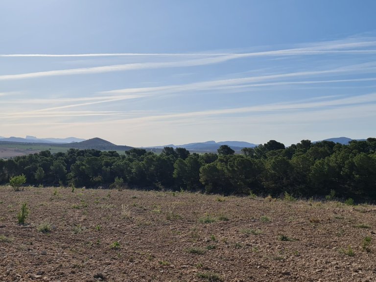 Plot for Sale in Raspay, Murcia 28