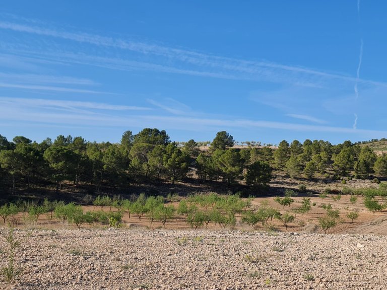 Plot for Sale in Raspay, Murcia 24