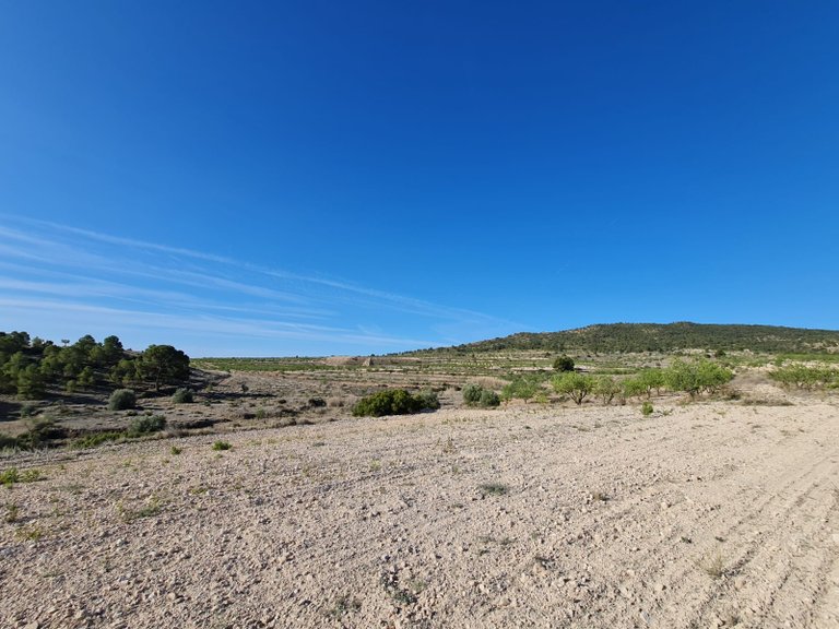 Plot for Sale in Raspay, Murcia 5