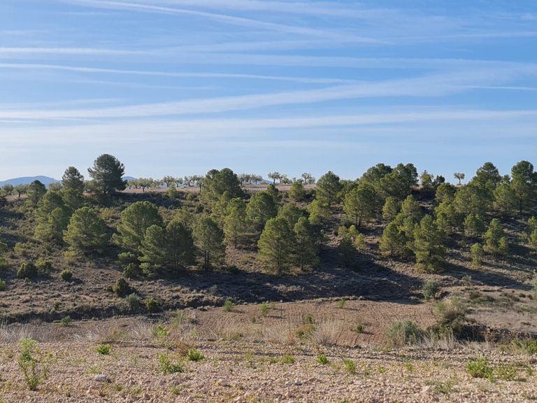 Plot for Sale in Raspay, Murcia 10