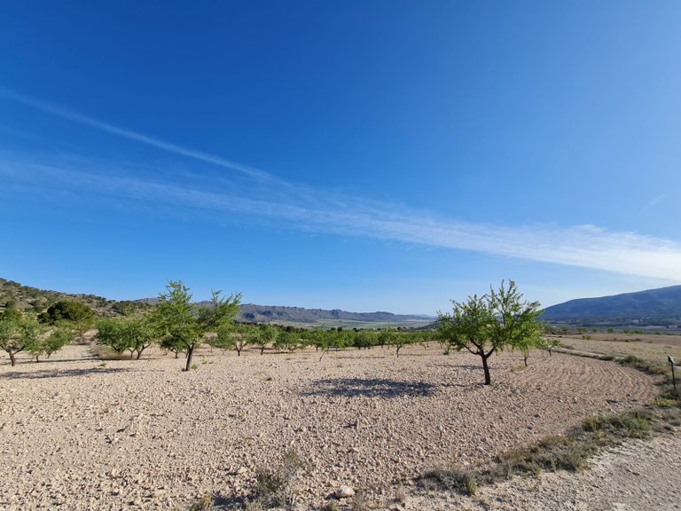 Plot for Sale in Raspay, Murcia 12