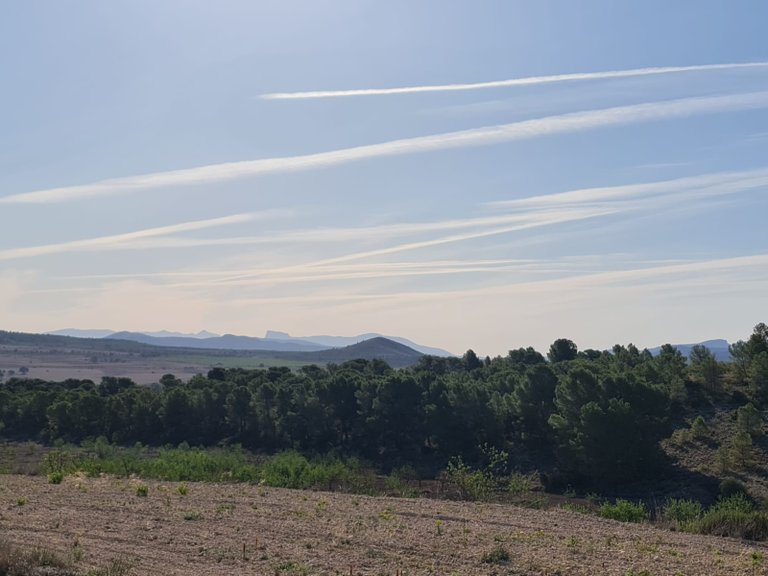 Plot for Sale in Raspay, Murcia 15