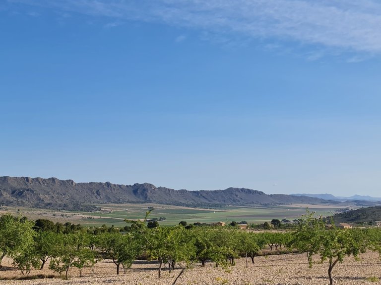 Plot for Sale in Raspay, Murcia 2