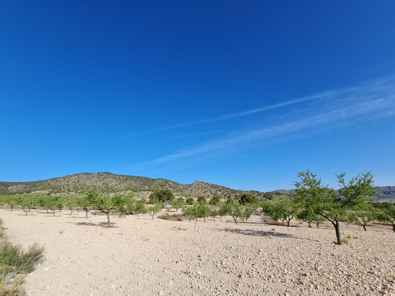Plot for Sale in Raspay, Murcia 4