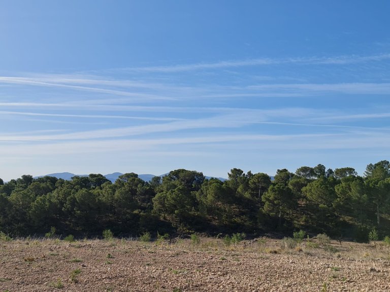 Plot for Sale in Raspay, Murcia 17