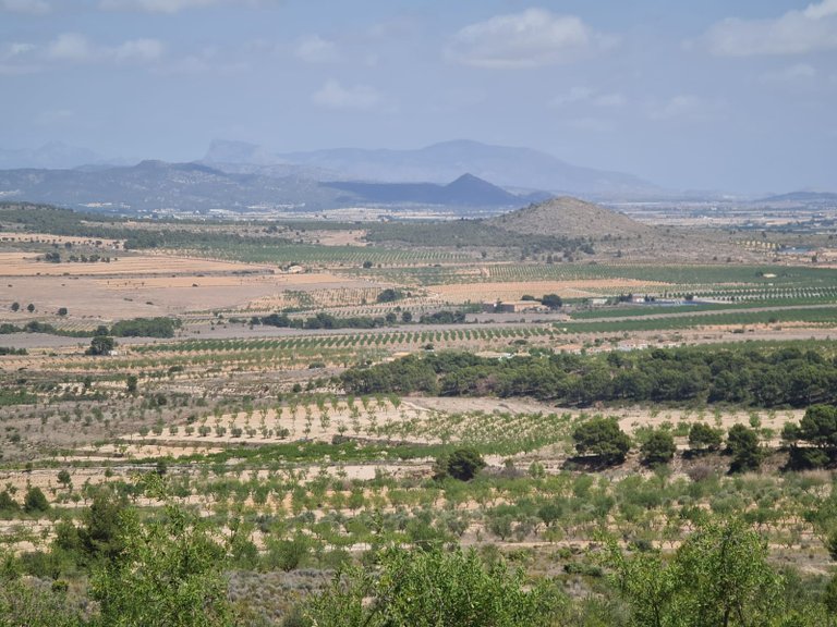 Plot for Sale in Yecla, Murcia 8