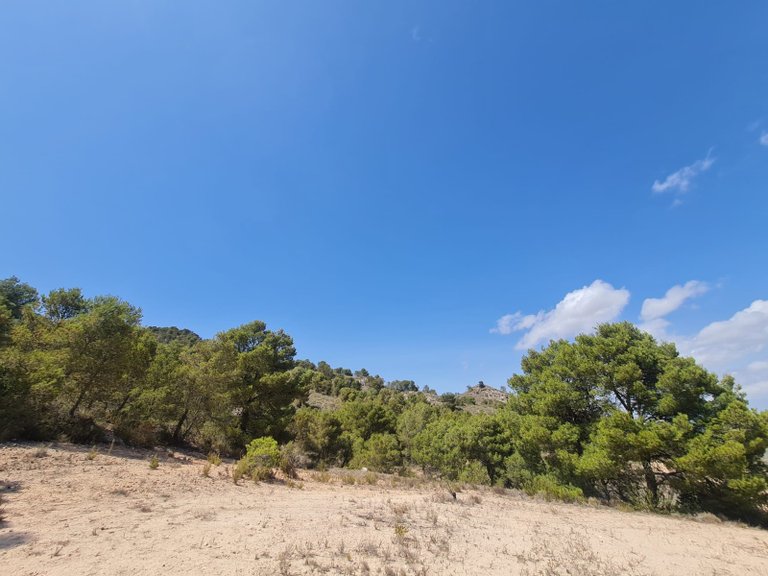 Plot for Sale in Yecla, Murcia 9