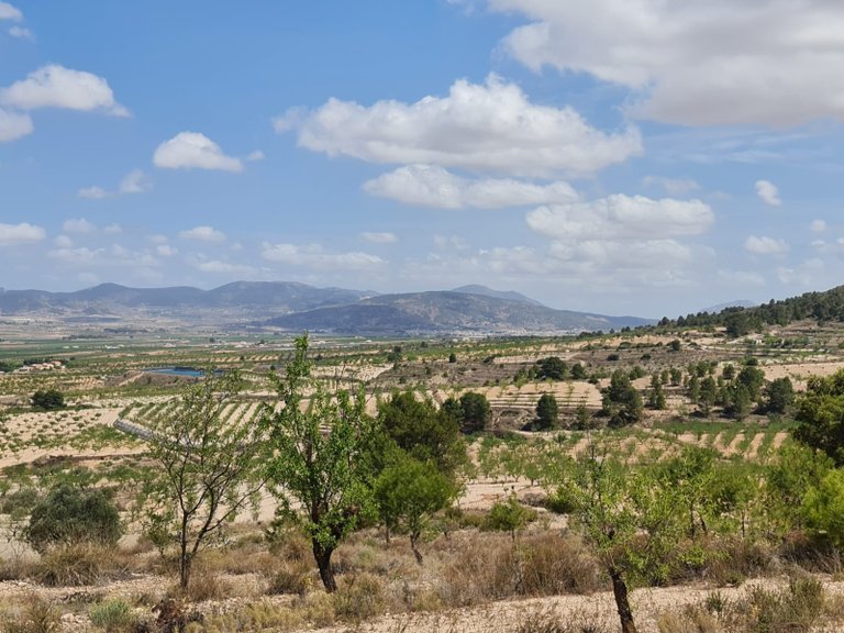 Plot for Sale in Yecla, Murcia 29
