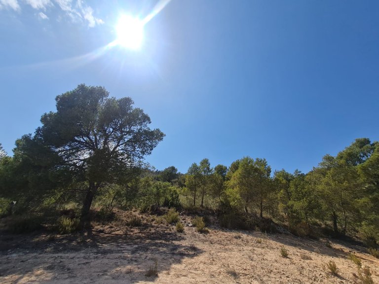 Plot for Sale in Yecla, Murcia 4