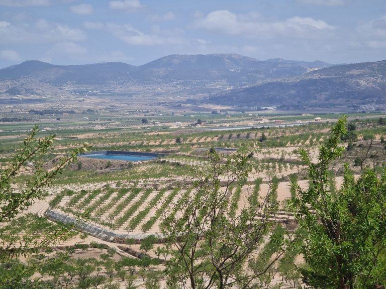 Plot for Sale in Yecla, Murcia 1