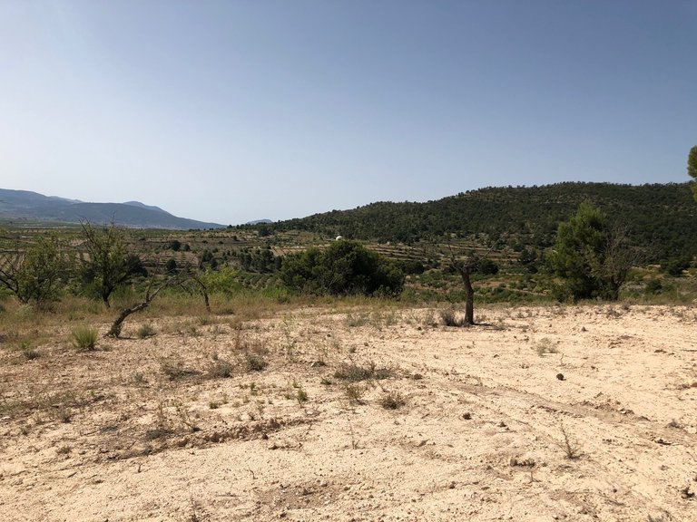Plot for Sale in Yecla, Murcia 22