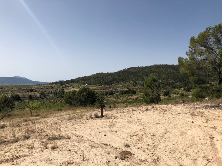Plot for Sale in Yecla, Murcia 20