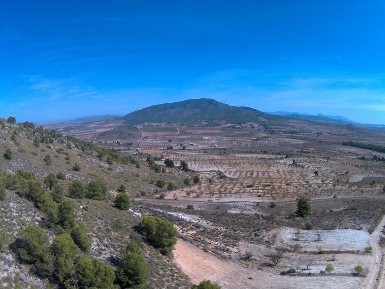 Plot for Sale in Yecla, Murcia 5
