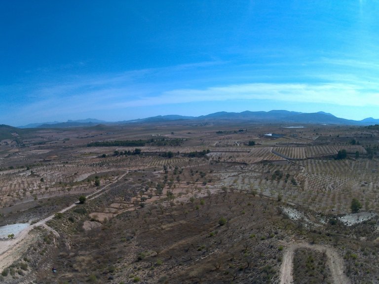 Plot for Sale in Yecla, Murcia 6