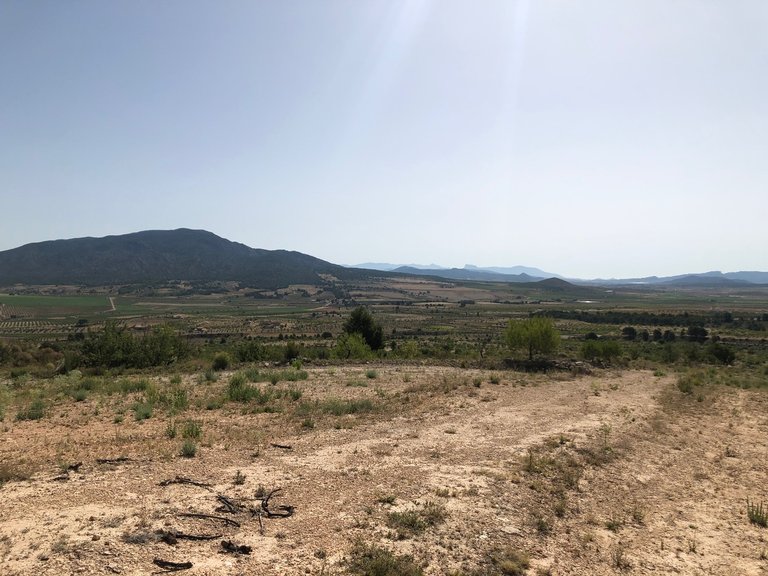 Plot for Sale in Yecla, Murcia 16