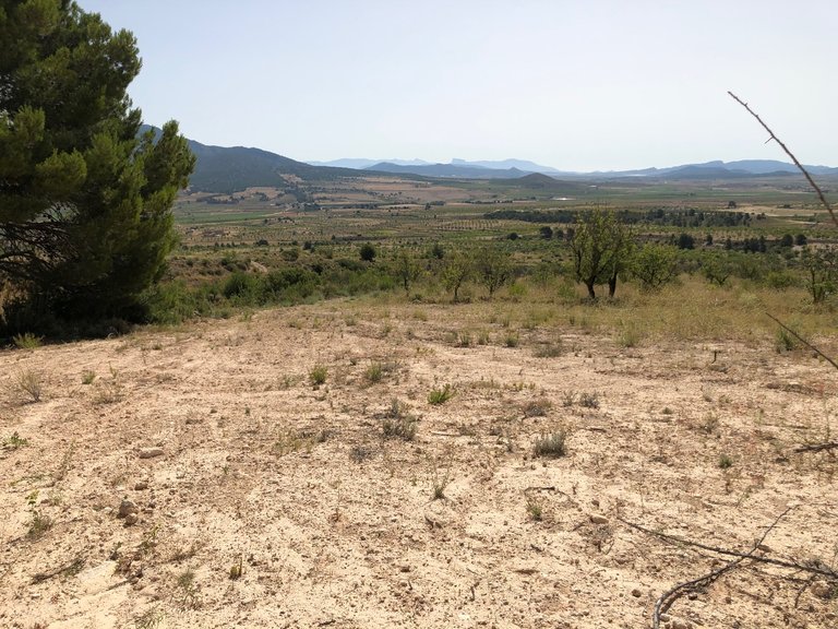 Plot for Sale in Yecla, Murcia 15
