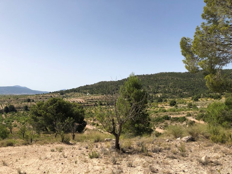 Plot for Sale in Yecla, Murcia 23