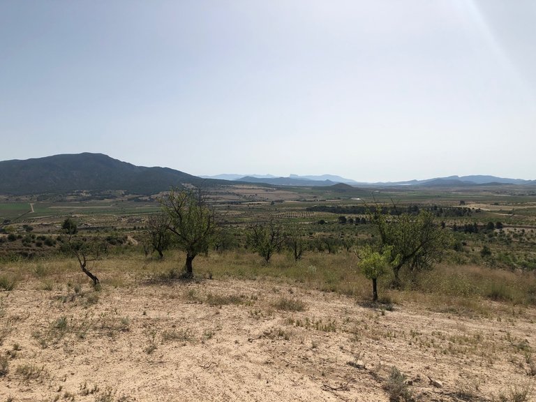 Plot for Sale in Yecla, Murcia 24