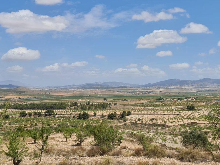Plot for Sale in Yecla, Murcia 27
