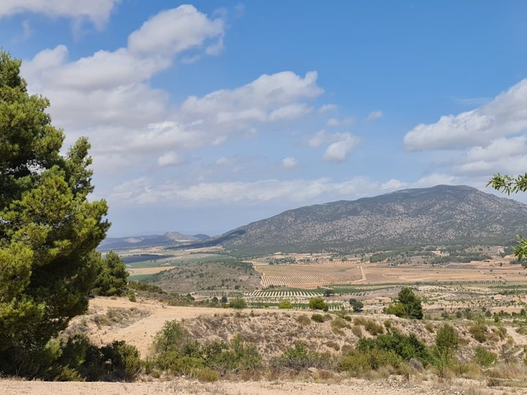 Plot for Sale in Yecla, Murcia 12