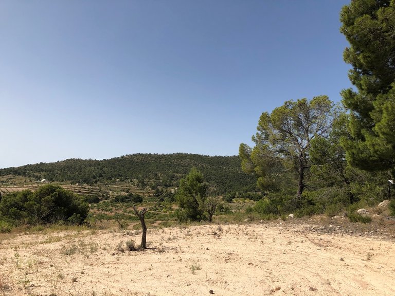 Plot for Sale in Yecla, Murcia 14
