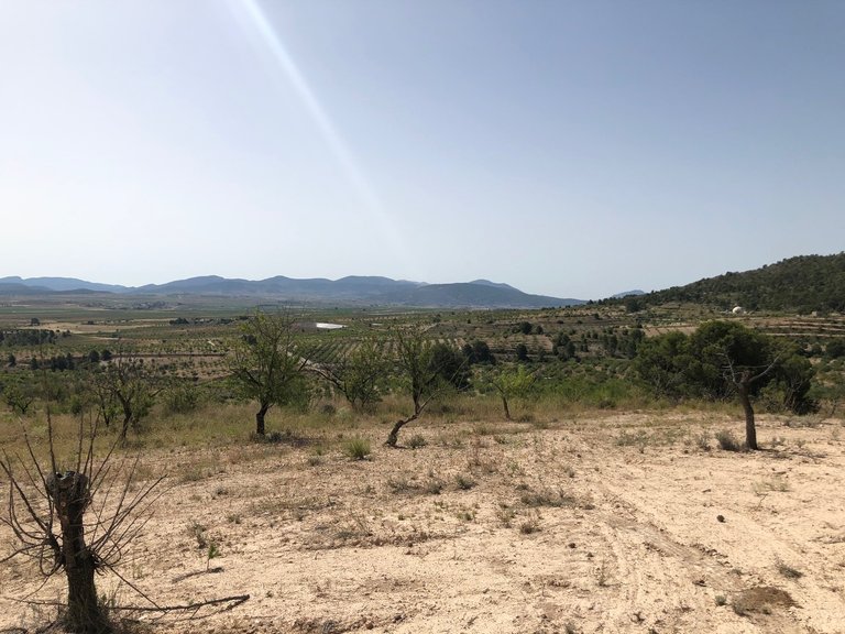 Plot for Sale in Yecla, Murcia 17