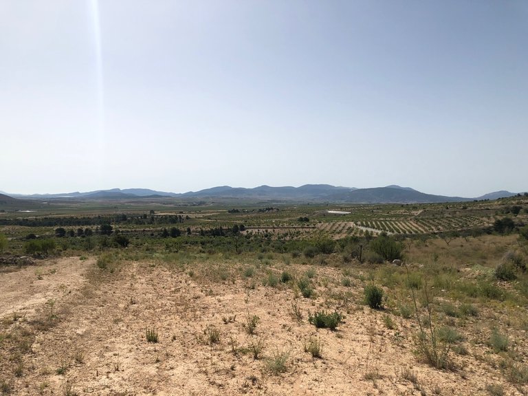 Plot for Sale in Yecla, Murcia 13
