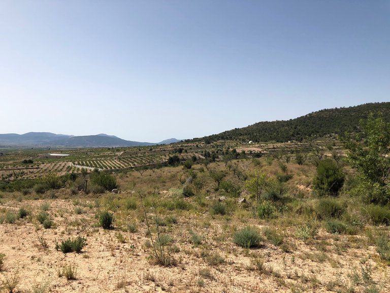 Plot for Sale in Yecla, Murcia 21