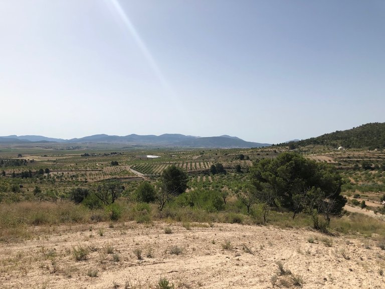 Plot for Sale in Yecla, Murcia 19