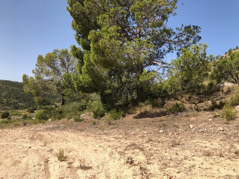 Plot for Sale in Yecla, Murcia 26