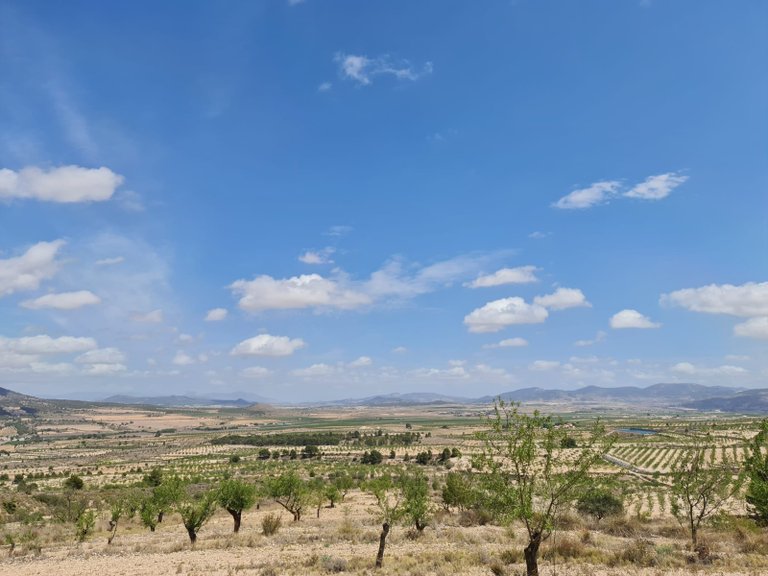 Plot for Sale in Yecla, Murcia 7