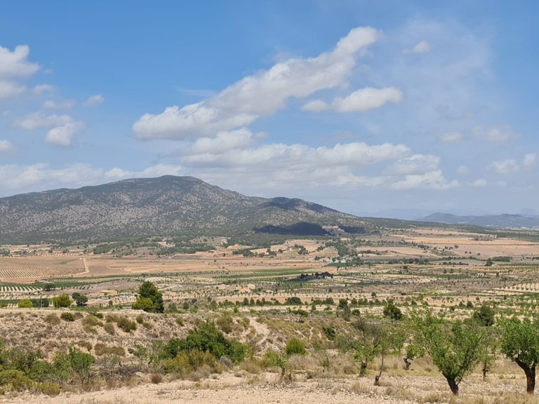 Plot for Sale in Yecla, Murcia 28
