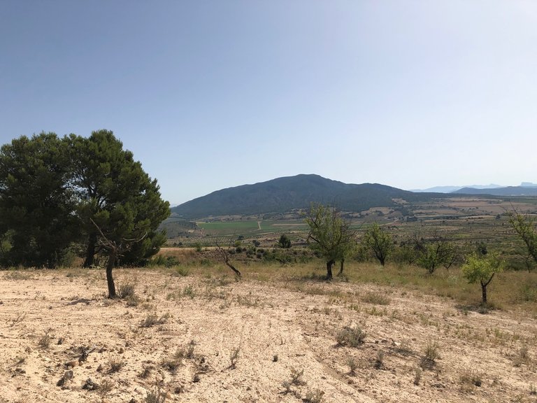 Plot for Sale in Yecla, Murcia 18
