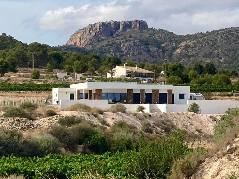 Villa for Sale in Pinoso, Alicante 4
