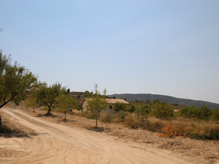 Villa for Sale in Pinoso, Alicante 35