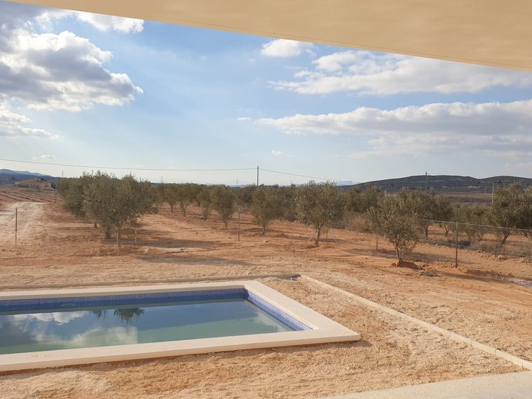 Villa for Sale in Pinoso, Alicante 17