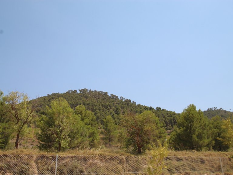 Villa for Sale in Pinoso, Alicante 4