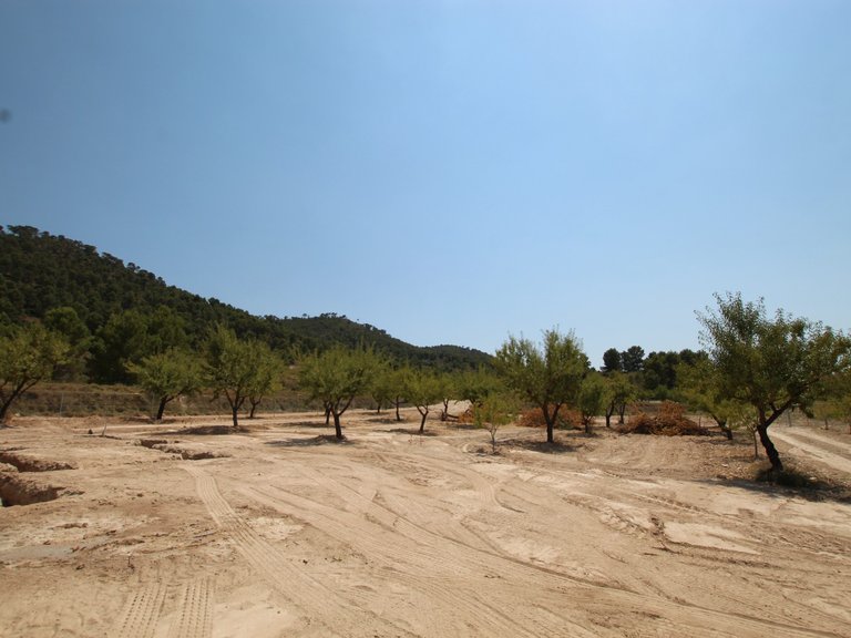 Villa for Sale in Pinoso, Alicante 31