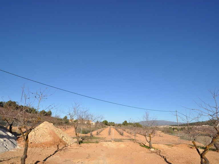 Villa for Sale in Pinoso, Alicante 41