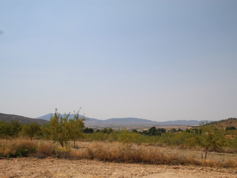 Villa for Sale in Pinoso, Alicante 24